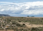 El Plañeron   R.Eveleens